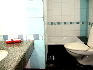 ***  Hotel Ganga Ratan Agra  India